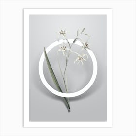 Vintage Gladiolus Cuspidatus Minimalist Botanical Geometric Circle on Soft Gray n.0516 Art Print