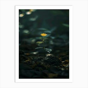 Flower In The Dark 88 Art Print