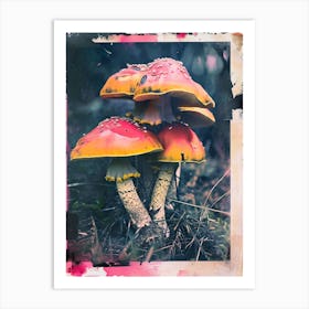 Mushrooms Retro Photo Inspired 2 Art Print