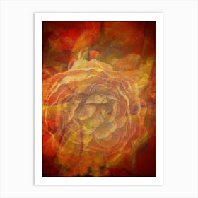 Img 3795 Multicoloured Abstract Flower #4 Art Print