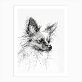 Papillon Dog Charcoal Line 3 Art Print