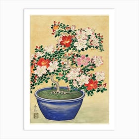 Bonsai Art Print