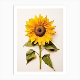 Pressed Flower Botanical Art Sunflower 2 Art Print