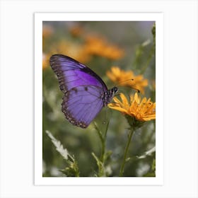 Purple Butterfl 1 Art Print