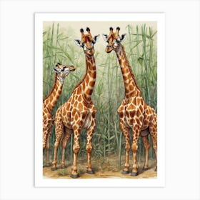 Giraffes 3 Art Print