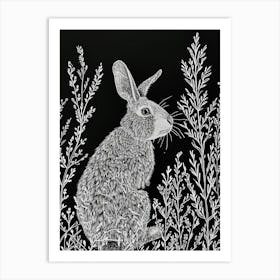 Himalayan Rabbit Minimalist Illustration 1 Art Print