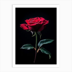 Single Red Rose On Black Background 14 Art Print