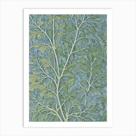 Beech tree Vintage Botanical Art Print