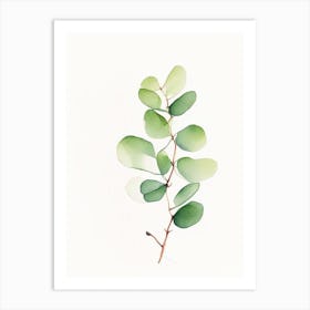 Purslane Leaf Minimalist Watercolour Art Print