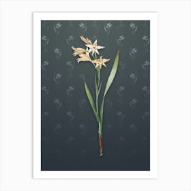 Vintage Gladiolus Cuspidatus Botanical on Slate Gray Pattern n.0875 Art Print