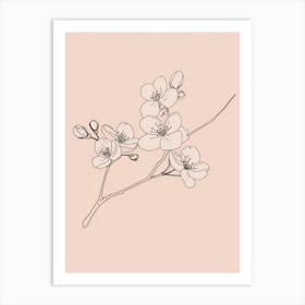 Cherry Blossoms Minimalist Line Art Monoline Illustration Art Print