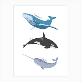 Whales Art Print