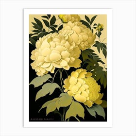 Sarah Bernhardt Peonies Yellow Vintage Sketch Art Print