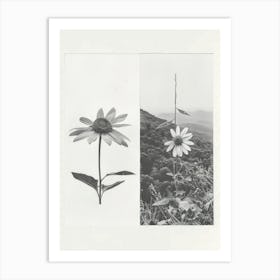 Sunflower Flower Photo Collage 1 Art Print