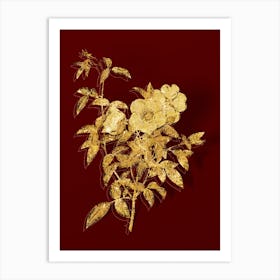Vintage White Rose of Snow Botanical in Gold on Red n.0328 Art Print