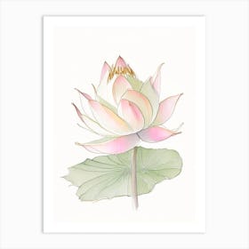 Sacred Lotus Pencil Illustration 5 Art Print