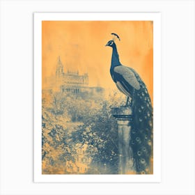 Orange & Blue Peacock With Palace In The Background 1 Art Print