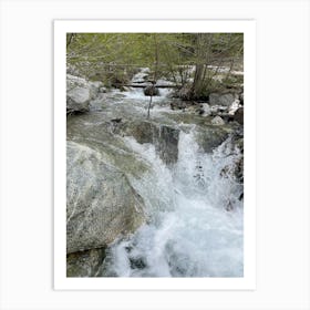 Stream In The Woods Art Print