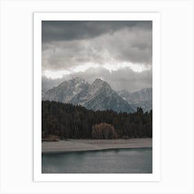 Forest Along Lake Art Print