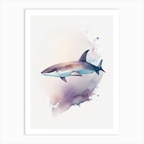 Bronze Whaler Shark Watercolour Art Print