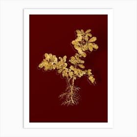 Vintage Lingonberry Botanical in Gold on Red n.0446 Art Print