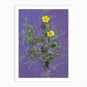 Vintage Yellow Buttercup Flowers Botanical Illustration on Veri Peri n.0228 Art Print