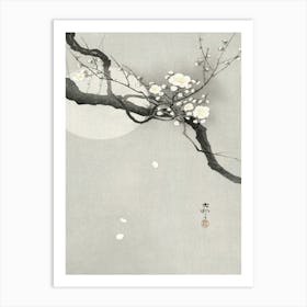 Plum Blossom And Full Moon (1900 1936), Ohara Koson Art Print