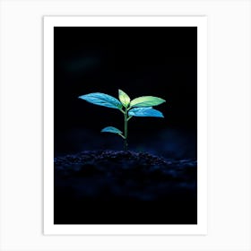 Small Green Plant In The Dark 7 Art Print