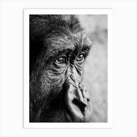 Gorilla Black and White Photography Animal Art Print