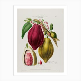 Aphrodisiac 1 Art Print