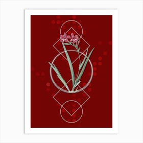 Vintage Gladiolus Cardinalis Botanical with Geometric Line Motif and Dot Pattern n.0356 Art Print