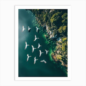 Pelicans Flying Over A Lake Art Print