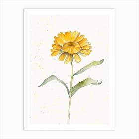 Calendula Leaf Minimalist Watercolour 4 Art Print