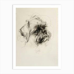 Shih Tzu Charcoal Line 3 Art Print