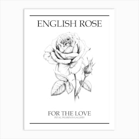 English Rose Black And White Line Drawing 8 Poster Art Print