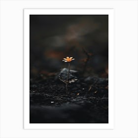 Flower In The Dark 56 Art Print