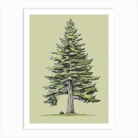 Douglas Fir Tree Minimalistic Drawing 4 Art Print