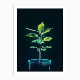 Plant In A Pot 1 Art Print