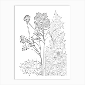Angelica Herb William Morris Inspired Line Drawing 1 Art Print