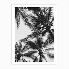 Black And White Palm Trees Art Print