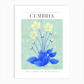 County Flower of Cumbria Grass Of Parnassus Art Print
