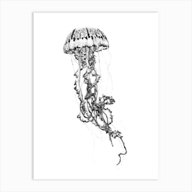 JDotwork Jellyfish Illustration Art Print