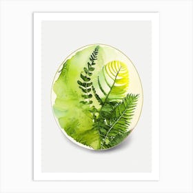 Lemon Button Fern Watercolour Art Print