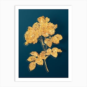 Vintage Pink Damask Rose Botanical in Gold on Teal Blue n.0012 Art Print