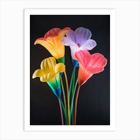 Bright Inflatable Flowers Moonflower 3 Art Print