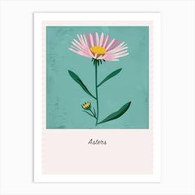 Asters 1 Square Flower Illustration Poster Art Print