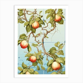 Apples Illustration 7 Art Print