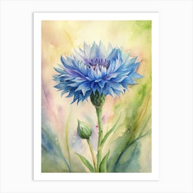 Blue Cornflower Art Print