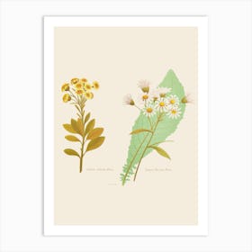 Two Flowers And Leaves Art Print