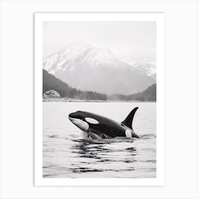 Icy Mountain In Distance With Orca Whale Coming Up For Air Art Print